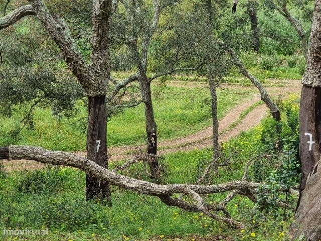 TERRENO Rstico 4,05ha