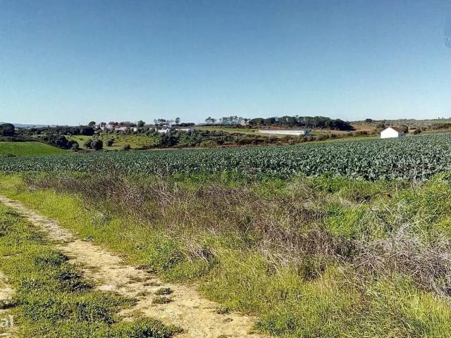 Terreno rstico