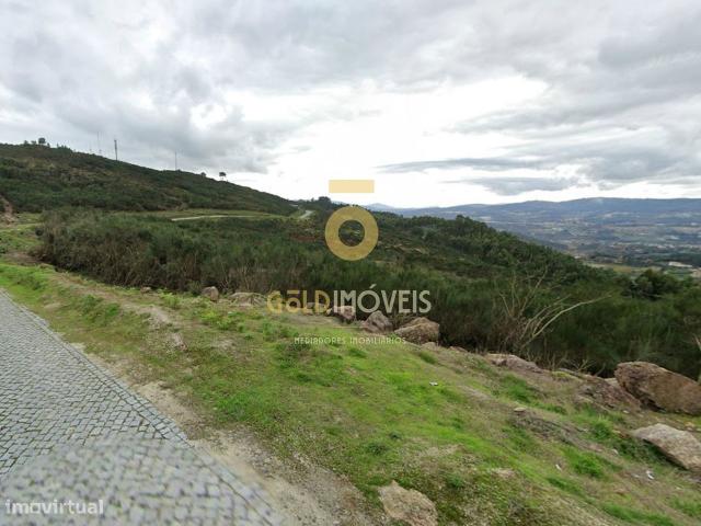 Terreno Rstico Venda em Banho e Carvalhosa,Marco de Canaveses