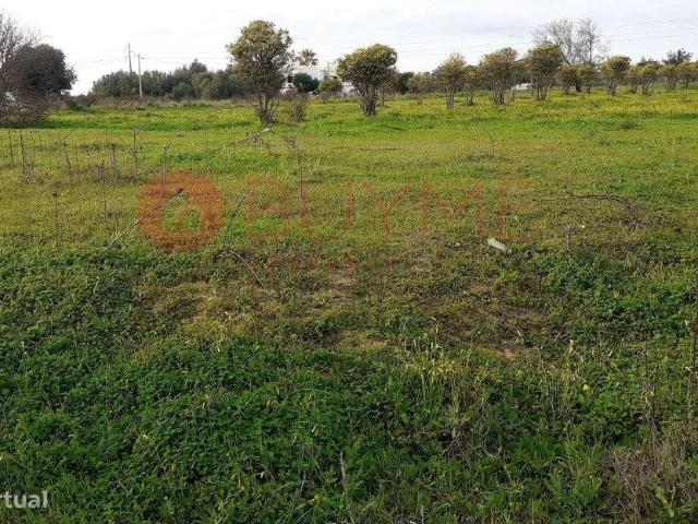 Terreno rstico Boliqueime