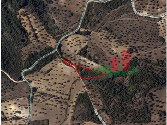 Terreno Rstico em Barbada Pernes