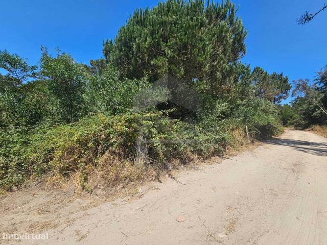 Terreno rstico perto da praia