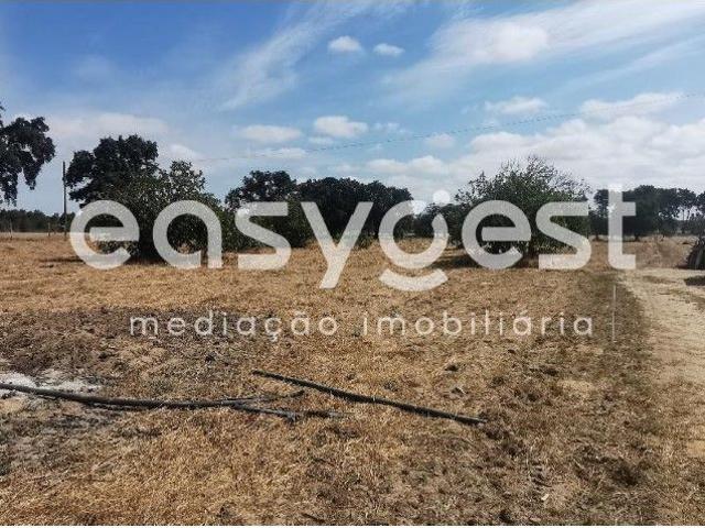 Terreno Rstico Situado na Moita a 20 minutos de Lisboa!