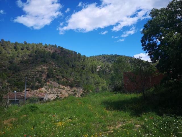 Terreno, Sueras