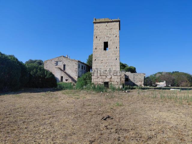 Terreno, S&apos Aranjassa Es Pil.larí, Palma de Mallorca