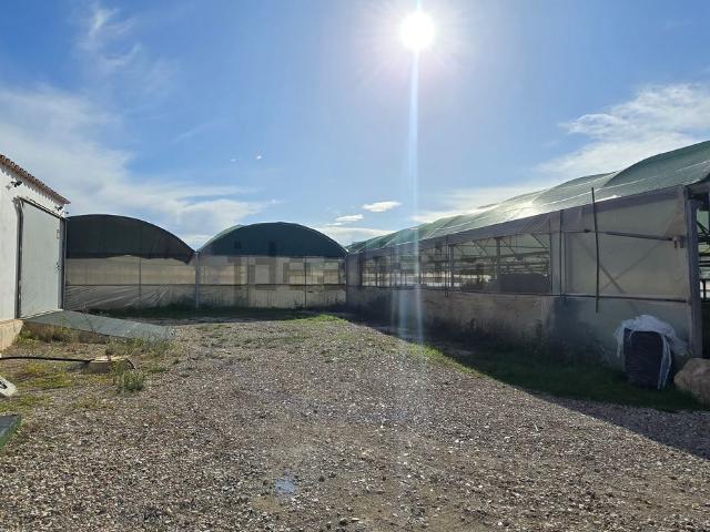 Terreno, S&apos Aranjassa Es Pil.larí, Palma de Mallorca