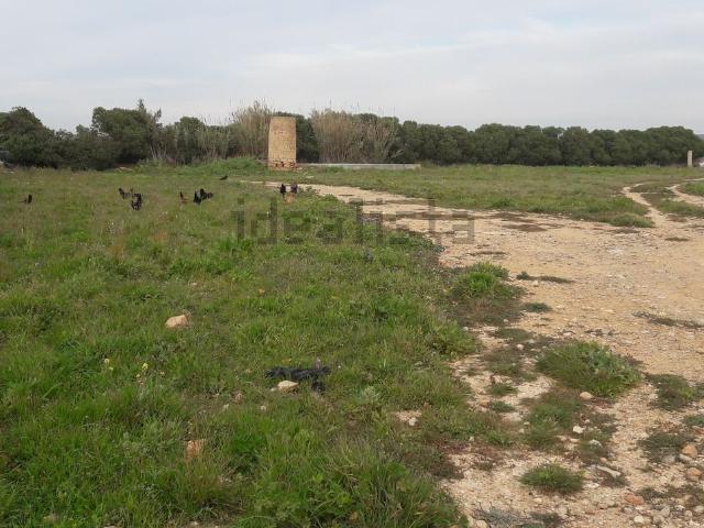 Terreno, S&apos Aranjassa Es Pil.larí, Palma de Mallorca