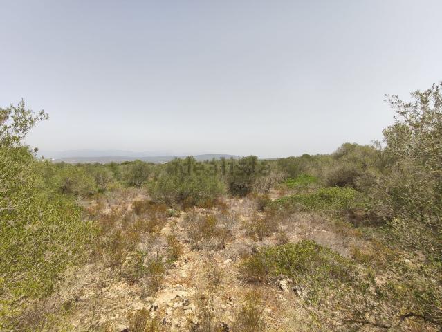 Terreno, S&apos Aranjassa Es Pil.larí, Palma de Mallorca
