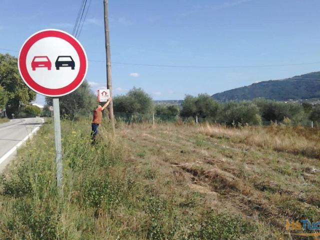 Terreno S. Frausto | 26083518696
