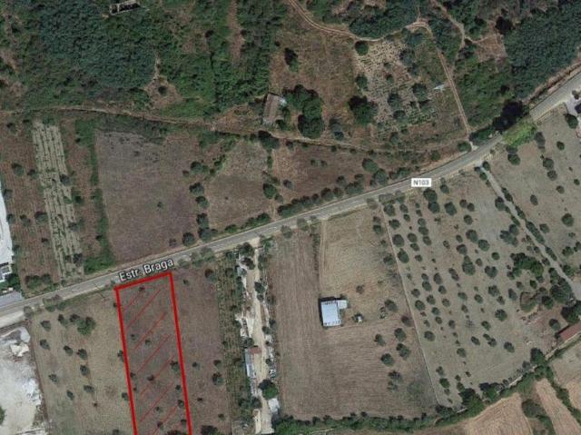Terreno S. Frausto | 26083518700