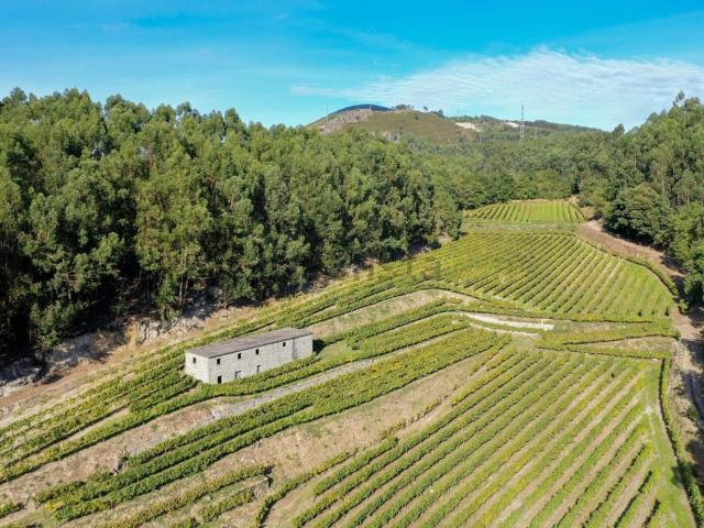 Terreno, São Torcato