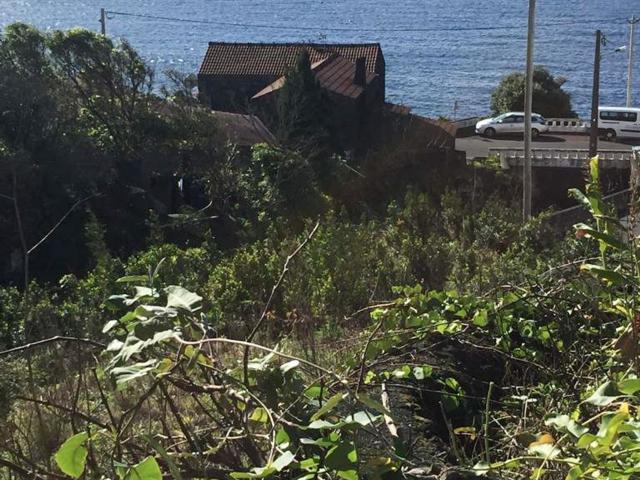 Terreno, São Caetano, Madalena | BPI Expresso Imobiliário