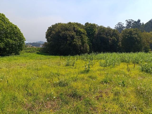 Terreno, São Cosme Valbom Jovim