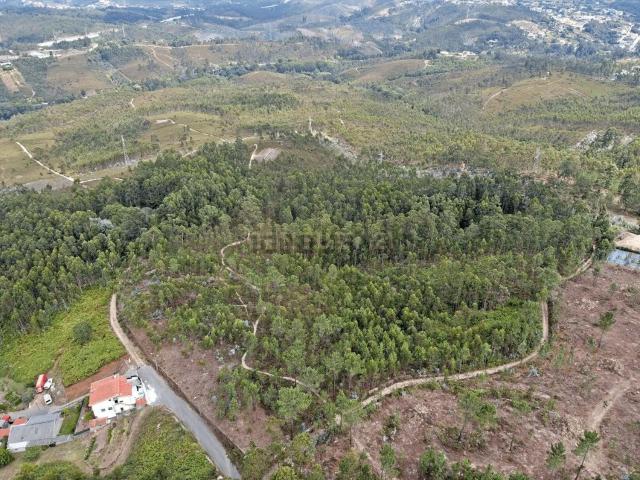 Terreno, São Cosme Valbom Jovim