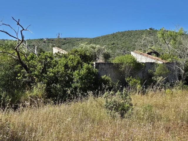 Terreno, São Clemente