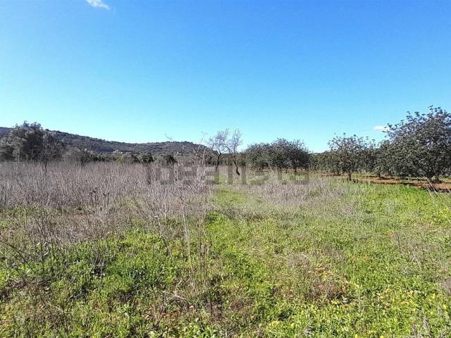 Terreno, São Clemente