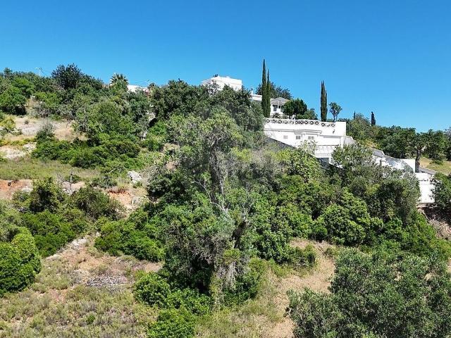 Terreno, São Clemente