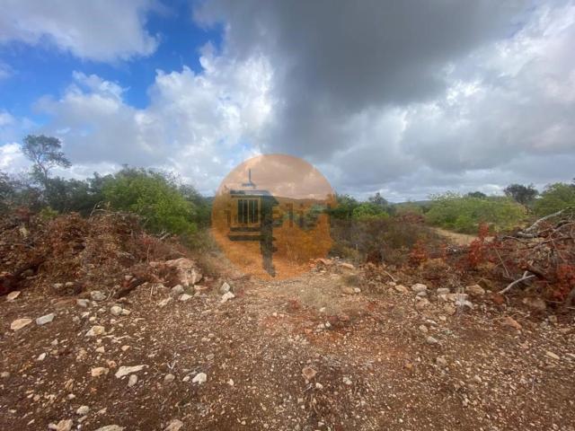 Terreno, São Clemente