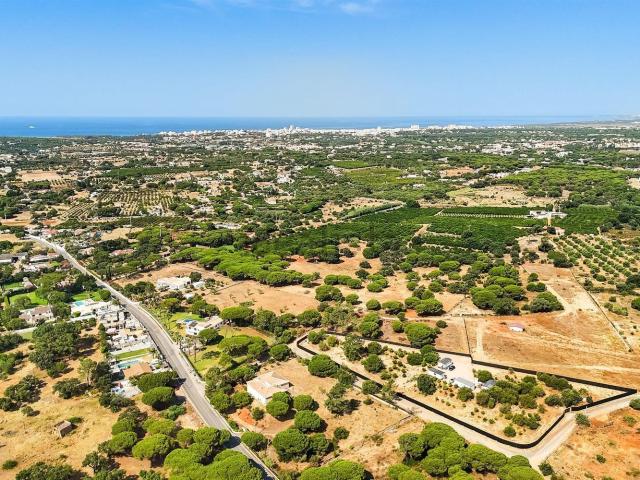 Terreno, São Clemente