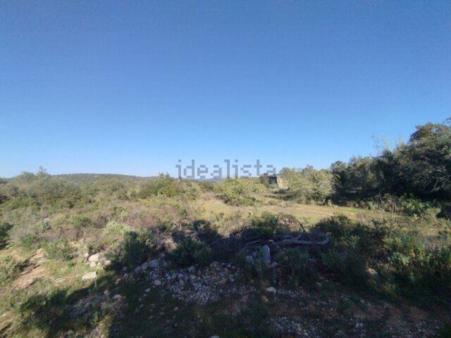 Terreno, São Clemente