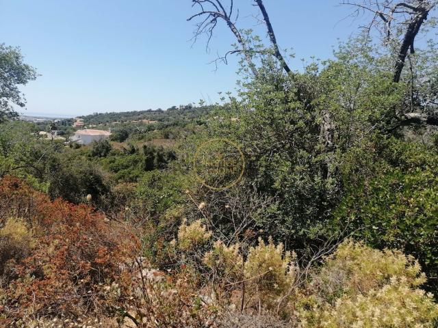 Terreno, São Clemente