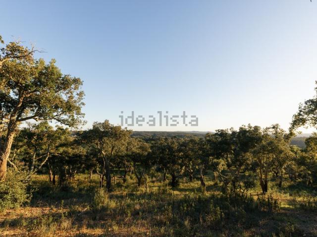 Terreno, Vale de Água