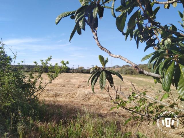 Terreno, Vale de Água