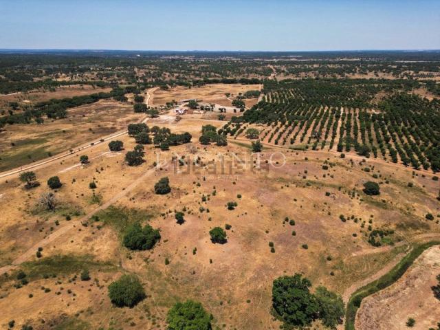 Terreno, São Domingos
