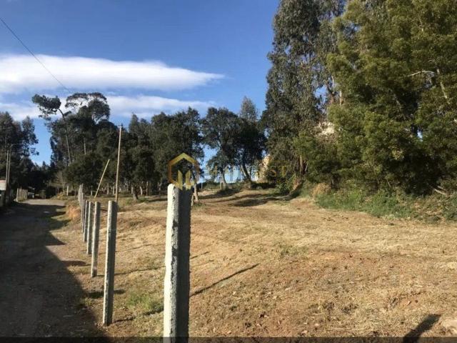 Terreno, São Felix da Marinha