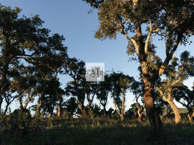Terreno, São Francisco da Serra