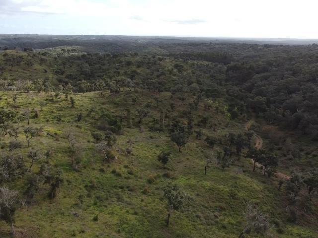 Terreno, São Francisco da Serra