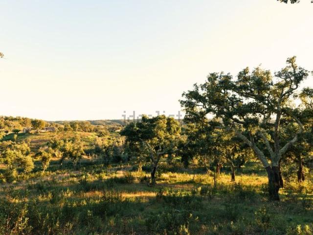 Terreno, São Francisco da Serra
