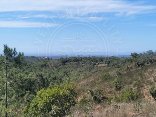 Terreno, São Francisco da Serra
