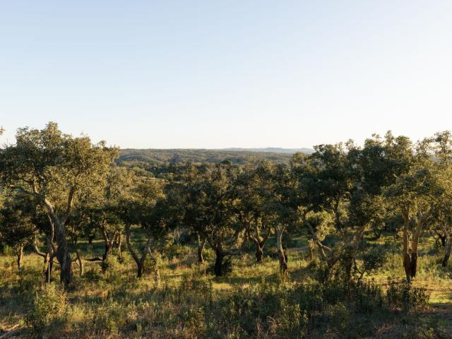 Terreno, São Francisco da Serra