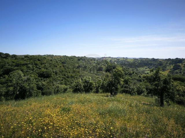 Terreno, São Francisco da Serra