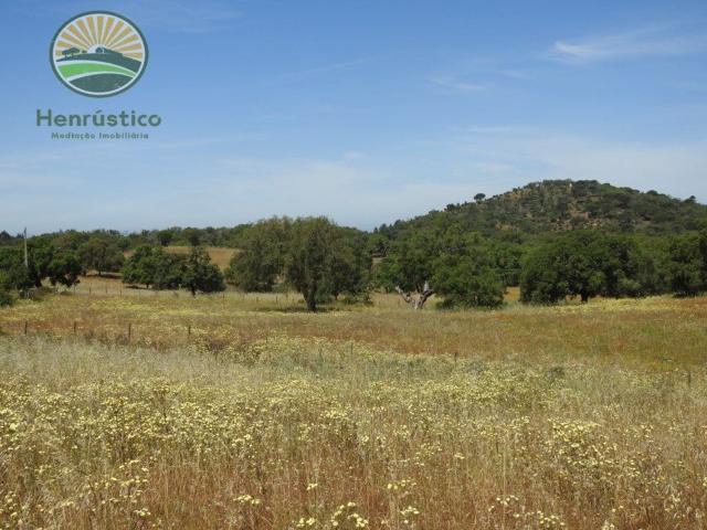 Terreno, São Francisco da Serra