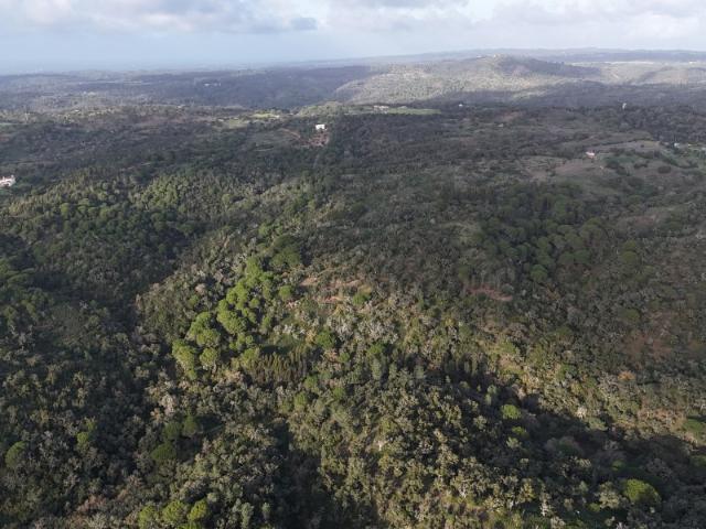 Terreno, São Francisco Da Serra, Santiago do Cacém | BPI Expresso Imobiliário
