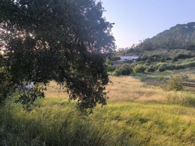 Terreno, São João da Ribeira