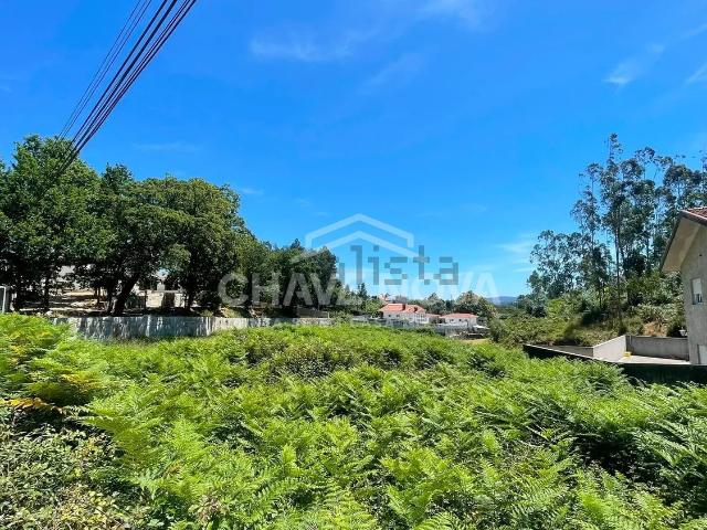 Terreno, São João de Ver