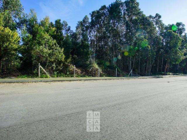 Terreno, São João de Ver