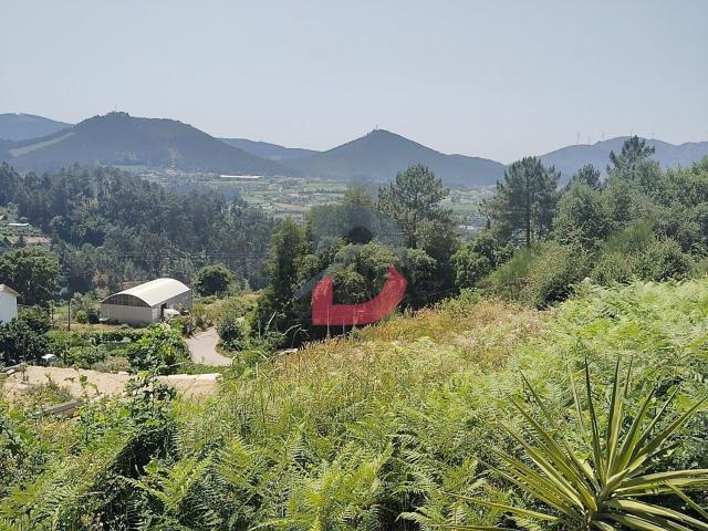 Terreno, São Martinho de Sardoura