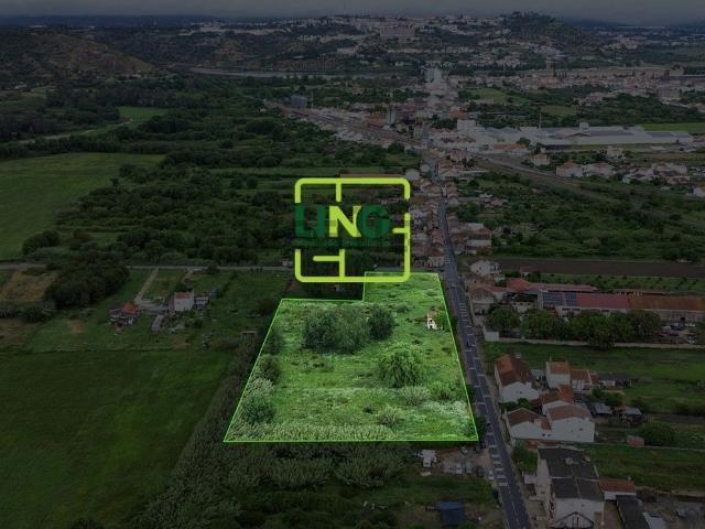 Terreno, São Miguel do Rio Torto e Rossio ao Sul do Tejo