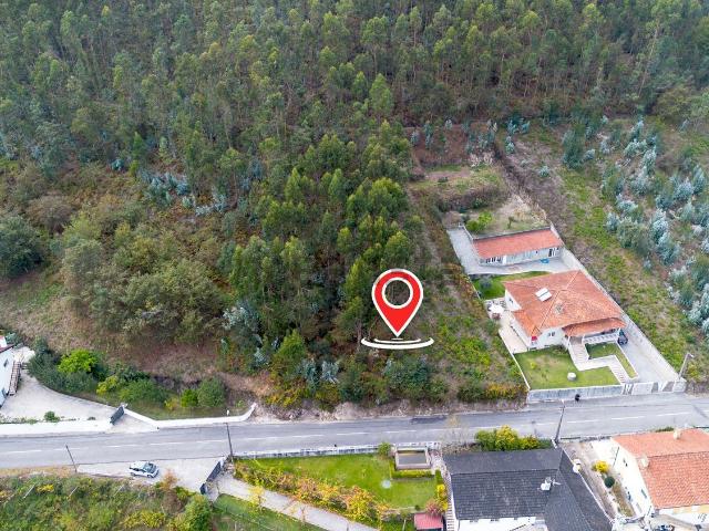 Terreno, São Miguel do Rio Torto e Rossio ao Sul do Tejo