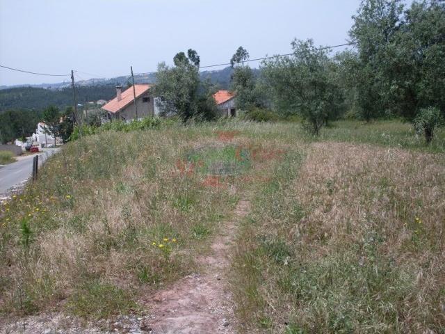 Terreno São Paulo de Frades