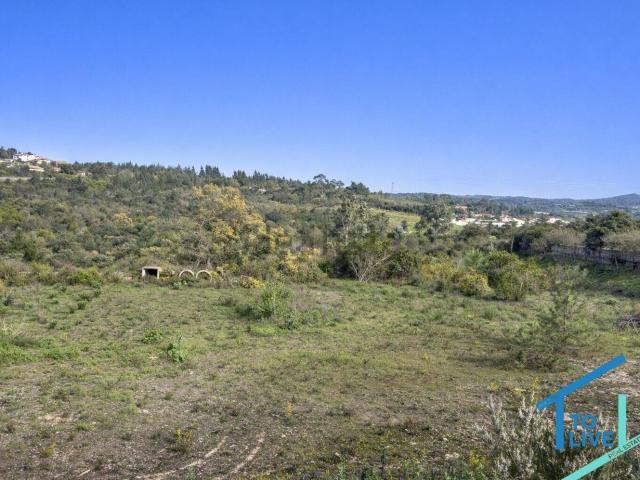 Terreno, São Pedro de Tomar