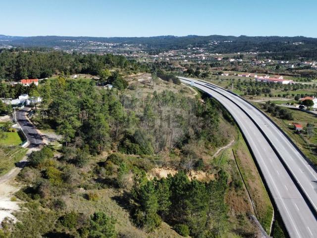 Terreno, São Pedro de Tomar