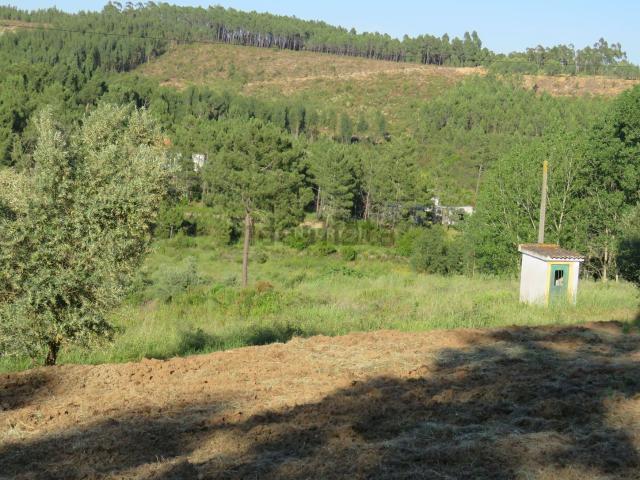Terreno, São Pedro de Tomar