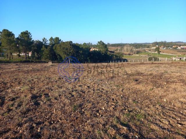 Terreno, São Pedro de Tomar