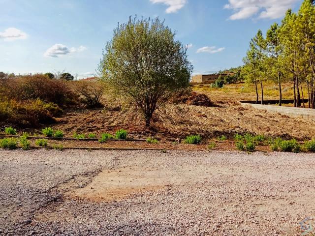 Terreno, São Pedro de Tomar, Tomar | BPI Expresso Imobiliário