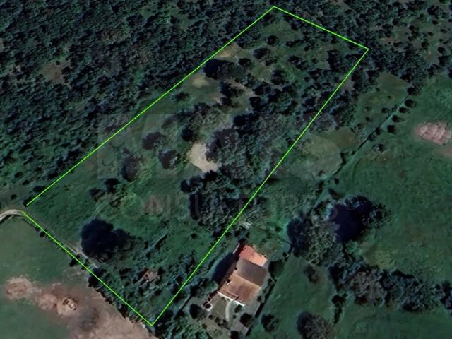 Terreno, São Pedro de Tomar, Tomar | BPI Expresso Imobiliário